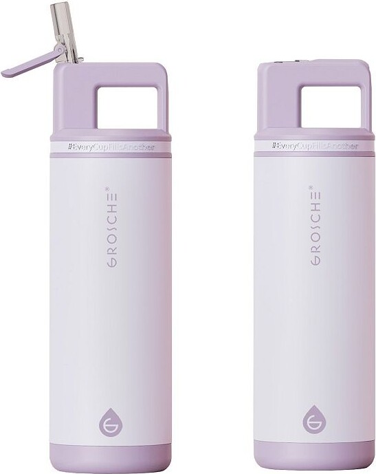 Grosche ALPINE Flip 'N Sip Insulated 20-oz. Leakproof Water Bottle with Straw 2-pk.