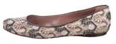 Thumbnail for your product : Missoni Embroidered Ballet Flats