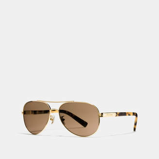 Coach Tag Temple Pilot Sunglasses