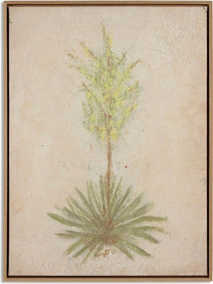 Four Hands Century Wall Art in Brown, Size: 12 In. x 18 In.