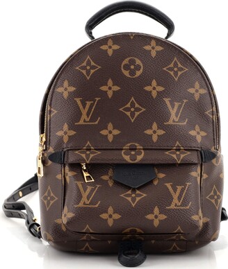 Louis Vuitton, Bags, Louis Vuitton Rare 223 Puffer Pillow Palm Spring  Mini Backpack Lvj1020