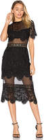 Thumbnail for your product : Karina Grimaldi Soho Lace Dress