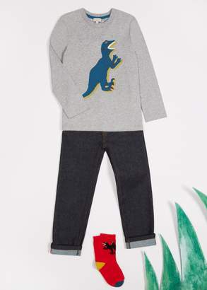 Boys' 8+ Years Grey 'Dino' Long-Sleeve T-Shirt