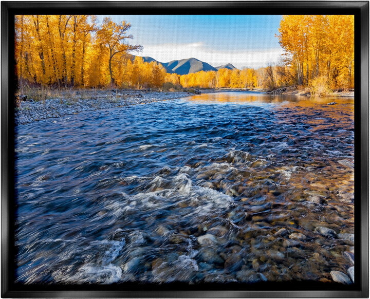 Stupell Industries Serene Babbling Brook Foliage Surrounding Lake Water Photograph Jet Black Floating Framed Canvas Print Wall Art, Design by Steve Smith