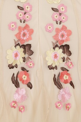 Frock and Frill Laekyn Floral Embroidered Maxi Dress with Ruffle Detail