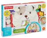 Thumbnail for your product : Fisher-Price My Little Snugapuppy Cuddle 'n Play Gym