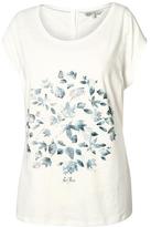Thumbnail for your product : Fat Face Autumn Leaves T-Shirt