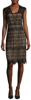 Thumbnail for your product : Shoshanna Lace Knee Length Dress