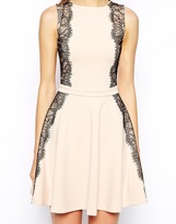 Thumbnail for your product : ASOS TALL Lace Panelled Skater Dress