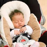 Thumbnail for your product : Infant Body Support - Taupe/Cream