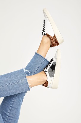 beckham bauer trainers