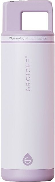 Grosche ALPINE Flip 'N Sip Insulated 20-oz. Leakproof Water Bottle with Straw