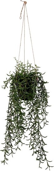 Vickerman Vickerman22"ArtificialGreenPlasticGrass,HangingPot.