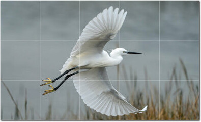 Picture-Tiles.com Bird Photo 12'' x 12'' Satin Ceramic Decorative Mural