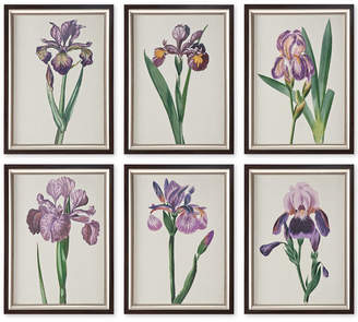Uttermost 6-Pc. Iris Beauties Framed Wall Art