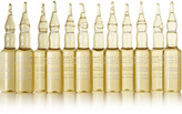 Thumbnail for your product : Leonor Greyl Complexe Energisant, 12 Vials - Colorless
