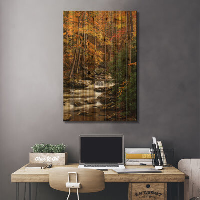 Millwood Pines USA Tennesse. Fall foliage along a stream in the Smoky Mountains.