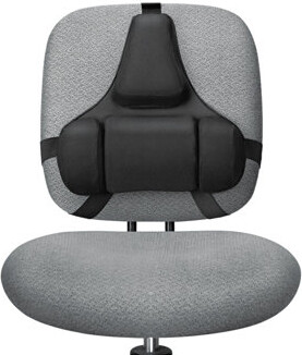 Fellowes Mfg. Co. Professional Series Back Support, Memory Foam Cushion