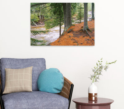 Union Rustic River Flowing Through A Forest Gooseberry River Gooseberry Falls State Park Minnesota Usa Abstract Contemporary Forest Landscape Art