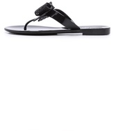 Thumbnail for your product : Ferragamo Pandy Jelly Thong Sandal