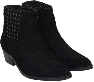 Bibi Lou Low Heels Ankle Boots In Black Suede