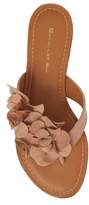 Thumbnail for your product : Chocolat Blu Bibi Sandal