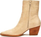 Thumbnail for your product : Matisse Women's Caty Boot