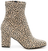 Thumbnail for your product : Steve Madden Evana Bootie