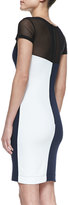 Thumbnail for your product : French Connection Rio Colorblocked Combo Sheath Dress, Black/White/Navy