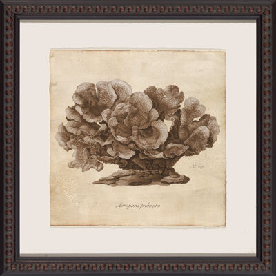 Wendover Art Group Sepia Sea Collection I - Picture Frame Painting on Paper