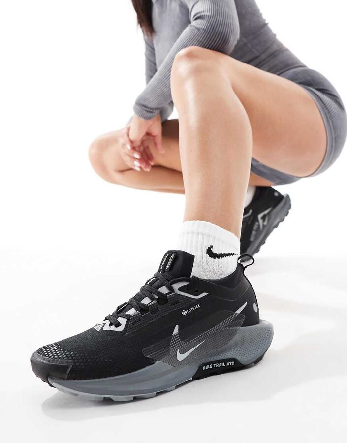 Nike Running Pegasus Trail 5 Gore-Tex sneakers in black and gray