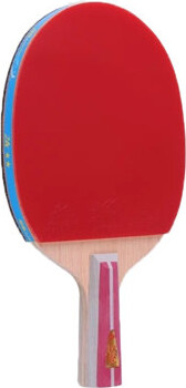 IRHOMA Beginner Table Tennis Racket Set with 1 Paddle 2 Balls - Lightweight Portable Kit for Home Training
