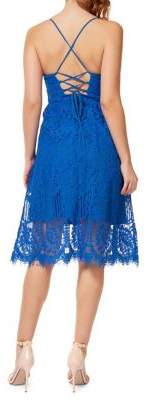 Dex Lace Cotton Blend Fit Flare Dress