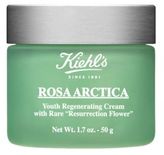 Thumbnail for your product : Kiehl's Rosa Arctica