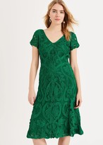 Thumbnail for your product : Phase Eight Kady Tapework Lace Dress