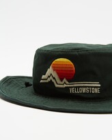 Thumbnail for your product : American Needle Green Hats - Yellowstone Wide Brim