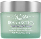 Thumbnail for your product : Kiehl's Rosa Arctica Lightweight Cream, 1.7 oz.