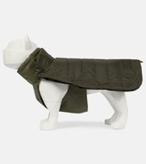 Thumbnail for your product : MONCLER GENIUS x Poldo Dog Couture dog coat