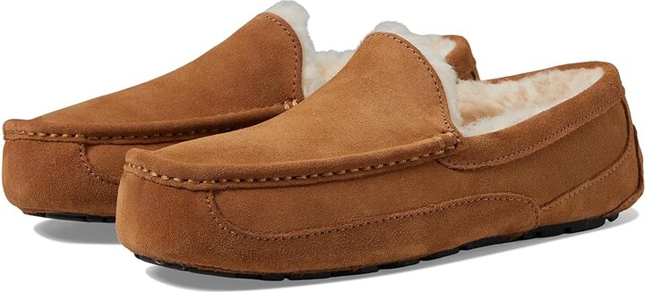 UGG Wide Ascot Men's Shoes Chestnut : 7 3E, Suede