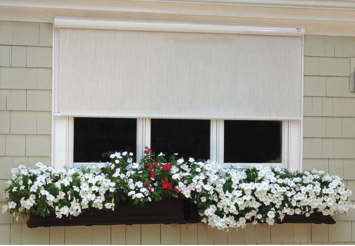 Bali Essentials Coral White Corded Light Filtering Motorized Vinyl Exterior Roll-Up Shade Left Motor White Cassette 54 in. W x 84 in. L, Custom
