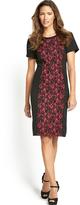 Thumbnail for your product : Savoir Bonded Lace Panel Dress