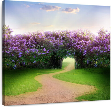 Millwood Pines Alvord Spring Forest Magic