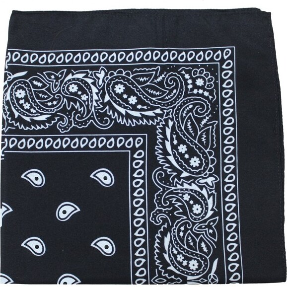MechalyPaisley100%PolyesterUnisexBandanas-50Pack-BulkWholesale