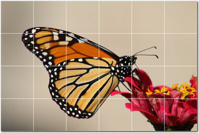Picture-Tiles.com Butterfly Photo 6'' x 6'' Satin Ceramic Decorative Mural