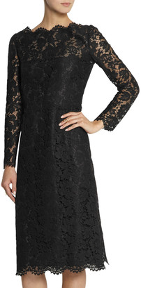 Valentino Cotton-blend Corded Lace Dress