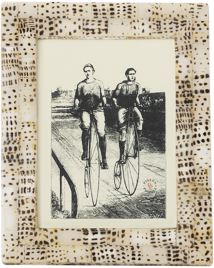 Pigeon and Poodle Mombasa Tiger Shell Frame 5"x7" ShopStyle Decor