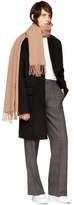 Thumbnail for your product : Acne Studios Brown Canada Narrow Scarf