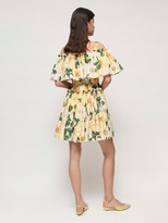 Thumbnail for your product : Dolce & Gabbana Camelia Print Cotton Poplin Mini Dress