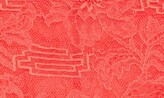 Thumbnail for your product : Chantelle Waltz Embroidered Lace Tanga