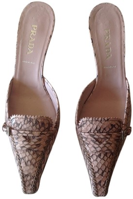 prada clogs